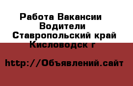 Работа Вакансии - Водители. Ставропольский край,Кисловодск г.